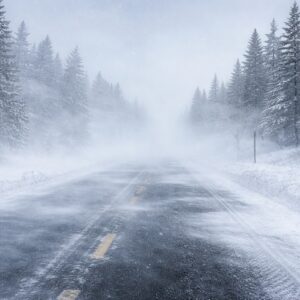 Ardor Home - Furniture & Rugs's post thumbnail for Store Closed due to Weather